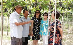Lượng khách đến Ninh Thuận dịp nghỉ lễ tăng gấp 3 lần năm 2018