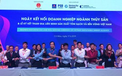 Cà Mau thành lập liên minh sản xuất tôm sạch, thu hút 4 nhà mua thủy sản lớn của Mỹ