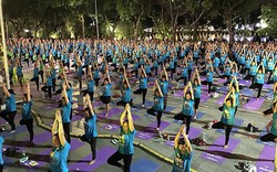 Yoga cho cuộc sống xanh