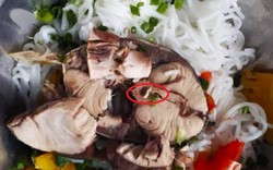 Ban quản lý An toàn thực phẩm Đà Nẵng nói gì về thông tin “có sán trong suất ăn của công nhân”?