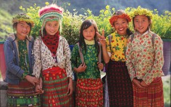 Ánh sáng từ tâm - câu chuyện sinh động về thiên nhiên và con người Việt Nam