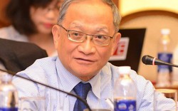 TS. Lê Đăng Doanh: Cần có quy định về mặt pháp lý rõ ràng hơn nữa đối với sản phẩm mang thương hiệu Việt