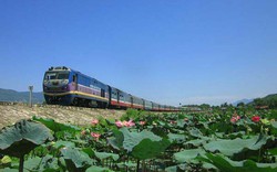 Đường sắt Hà Nội giảm giá vé tới 20% dịp hè