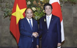 Việt Nam luôn coi Nhật Bản là đối tác tin cậy, quan trọng hàng đầu và lâu dài