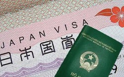 Nhật Bản đình chỉ tư cách đại diện xin cấp visa đoàn với 8 công ty du lịch Việt Nam