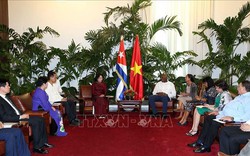 Phó Chủ tịch nước Đặng Thị Ngọc Thịnh thăm chính thức Cuba