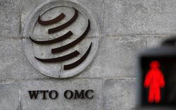 Nga lên tiếng về nguy cơ khôn lường khi Mỹ rời WTO