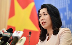 Phản đối Trung Quốc tái diễn vi phạm nghiêm trọng việc xâm phạm vùng biển Việt Nam