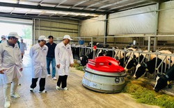 Vinamilk cùng Bộ Nông nghiệp & Phát triển Nông thôn xây dựng vùng chăn nuôi bò sữa tại Tây Ninh.