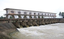 Thiếu nước sinh hoạt, Đà Nẵng đề nghị vận hành xả nước từ các hồ chứa thủy điện