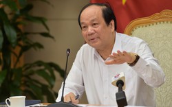 Các doanh nghiệp muốn Bộ Công Thương sớm ban hành quy định rõ ràng về hàng hóa xuất xứ tại Việt Nam