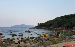 Dự án khu du lịch sinh thái Nam Ô: Sẽ có “Du lịch trải nghiệm bình minh trên vịnh Nam Ô bằng thuyền thúng”