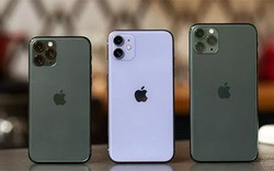 iPhone 11 về Việt Nam sẽ có giá bao nhiêu?