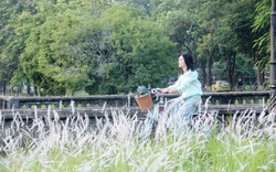 Người dân và du khách hào hứng check in hoa cỏ tranh bên Tử Cấm Thành - Đại Nội Huế