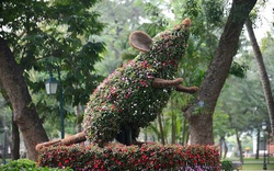 Hà Nội trang trí hoa, cây cảnh phục vụ Tết Nguyên đán Canh Tý 2020