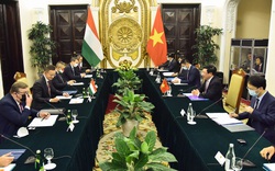 Hungary đánh giá cao vai trò và vị thế quan trọng của Việt Nam trong khu vực