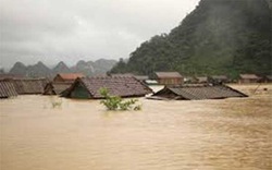 Thành ủy Hà Nội kêu gọi ủng hộ nhân dân các tỉnh miền Trung bị thiệt hại do mưa lũ