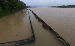 Nước sông Hương dâng cao, cầu gỗ lim tiền tỷ bị nhấn chìm
