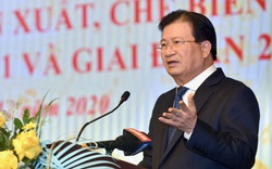 Phó Thủ tướng Trịnh Đình Dũng: Đến năm 2025 phấn đấu có ít nhất 1 triệu ha rừng trồng gỗ lớn 