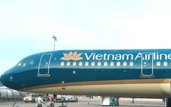 Vietnam Airlines xin lỗi vì để tiếp viên không tuân thủ quy định về cách ly