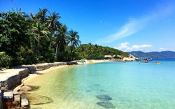 Đảo Cá Voi Nha Trang được bình chọn 10 điểm lặn biển đẹp nhất thế giới năm 2020
