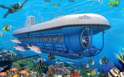 Khánh Hòa đề xuất thí điểm tàu ngầm, tàu lặn tham quan vịnh Nha Trang