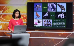 Dạy học trong thời dịch Covid-19, TP. Hồ Chí Minh công nhận kết quả dạy học trực tuyến, trên truyền hình