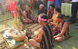 Bộ VHTTDL hỗ trợ bảo tồn, phục dựng lễ hội truyền thống của dân tộc S'tiêng, tỉnh Bình Phước