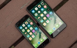 iOS 14 xác nhận Apple đang phát triển iPhone giá rẻ màn hình 5,5 inch