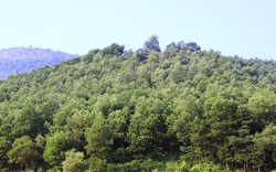 Phê duyệt nhiệm vụ Quy hoạch bảo tồn, tôn tạo di tích lịch sử - văn hóa Địa điểm Hội thề Lũng Nhai