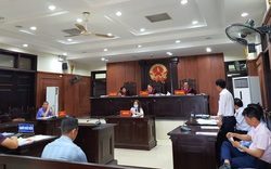 Vụ Vipico: Tòa bác kháng cáo, Đà Nẵng tiếp tục thua kiện doanh nghiệp