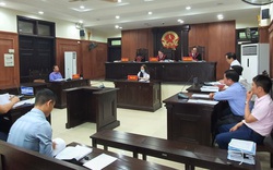 Chính quyền Đà Nẵng kháng cáo bất thành vụ kiện đấu giá đất vàng của Vipico