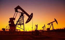 Giá dầu bật tăng mạnh nhờ các gói kích thích kinh tế