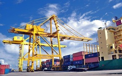 Thủ tướng phê duyệt Đề án quản lý hoạt động thương mại điện tử đối với hàng hóa xuất khẩu, nhập khẩu
