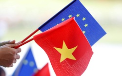 EU đã hoàn thành tiến trình phê chuẩn EVFTA