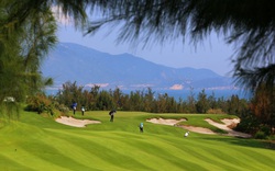 Hơn 1.000 golfer tranh tài tại FLC GAB Tournament 2020