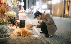 Kim Hyun Joong được báo Hàn khen vì ánh nhìn chú chó trìu mến, ai dè Knet “dội bom” vì phát hiện chi tiết gây tranh cãi