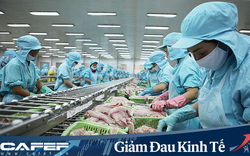 VASEP: Khó khăn vì Covid-19 bủa vây, các doanh nghiệp  thuỷ sản vẫn cố gắng không bỏ kqbd kèo nhà cái 5 lao động