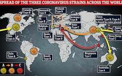 Bí ẩn biến thể COVID-19 đã hoành hành tại Trung Quốc từ sớm, còn Mỹ lại bị virus nguyên bản tấn công