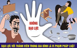 Gia Lai triển khai công tác phòng, chống bạo lực gia đình năm 2020