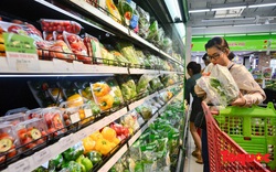 Thủ tướng yêu cầu tăng cường quản lý an toàn thực phẩm trong tình hình mới