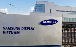 Truy xuất camera để rà soát tất cả các F1, F2 của BN262 ở Công ty Samsung Bắc Ninh