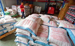 Đề nghị Bộ Công an điều tra, xác minh tiêu cực trong hoạt động xuất khẩu gạo