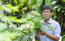 Vì sao hình ảnh và các công trình nghiên cứu khoa học của PGS.TS Trần Văn Ơn bị sử dụng trái phép nhiều?