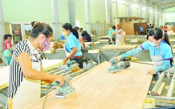 Giải pháp cho xem trực tiếp bóng đá kèo nhà cáiành gỗ Việt phục hồi hậu đại dịch Covid-19