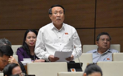 Bộ Nội vụ lần thứ 2 yêu cầu Quảng Trị kiện toàn chức vụ Chủ tịch UBND tỉnh