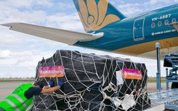 Vietnam Post thuê nguyên chuyến máy bay của Vietnam Airlines vận chuyển hàng hóa phục vụ mùa dịch
