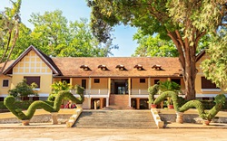 Đề xuất xây dựng nhà dài truyền thống của người Êđê trong khuôn viên Bảo tàng tỉnh Đắk Lắk và Biệt Điện Bảo Đại
