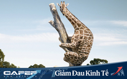 Không chỉ nhà đầu tư nhỏ lẻ, hầu hết các quỹ đầu tư trên TTCK Việt kèo nhà cái malaysia đều thua lỗ trên 30% trong quý 1/2020