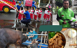 Góc lạ đời của bóng đá Indonesia: Cầu thủ luôn phải sẵn nghề tay trái từ nuôi bò, họa sĩ, bartender và có cả làm quan chức